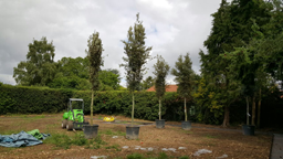 Planting